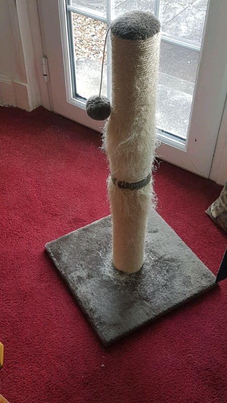 30 inch carpeted cat scratching post